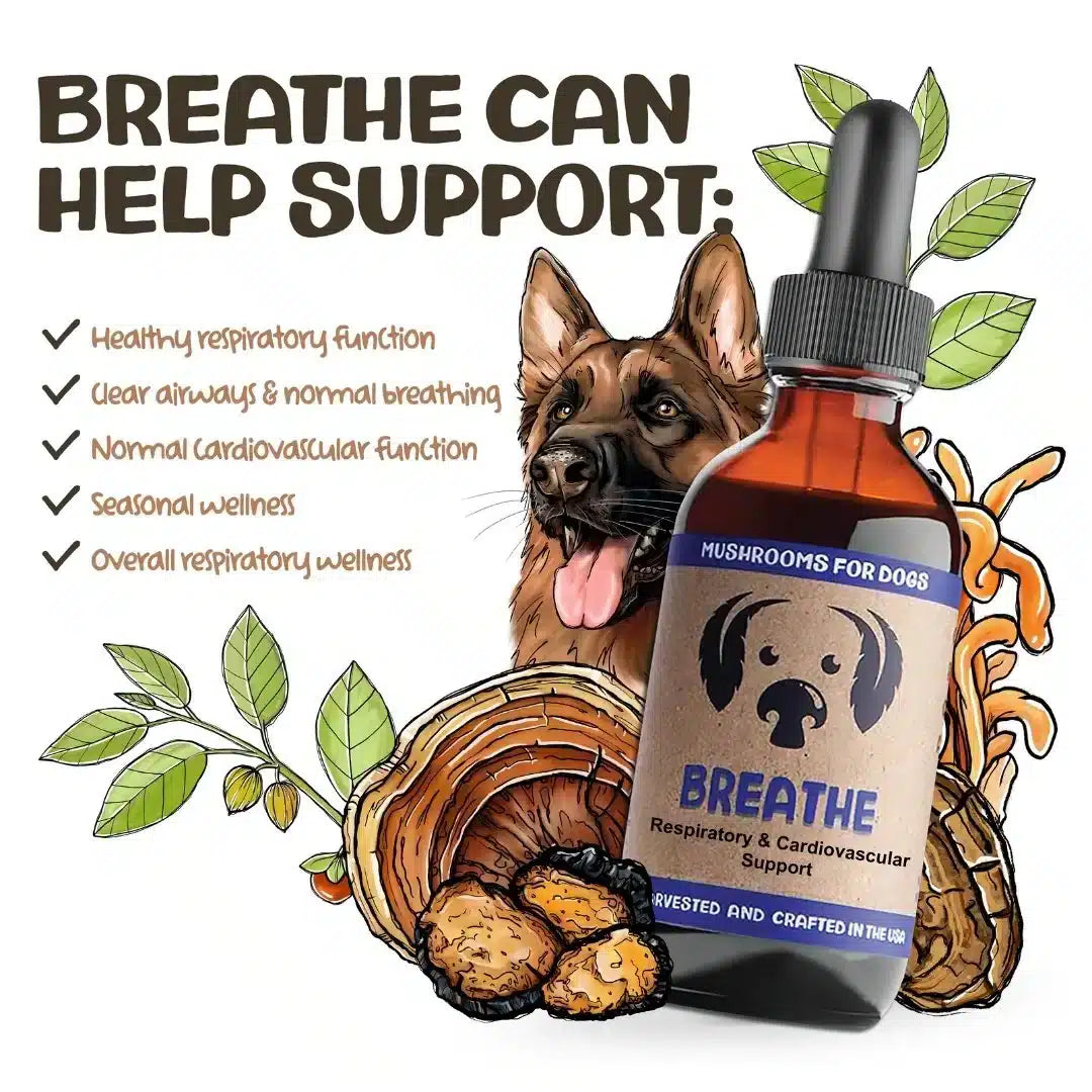 mycodog Breathe