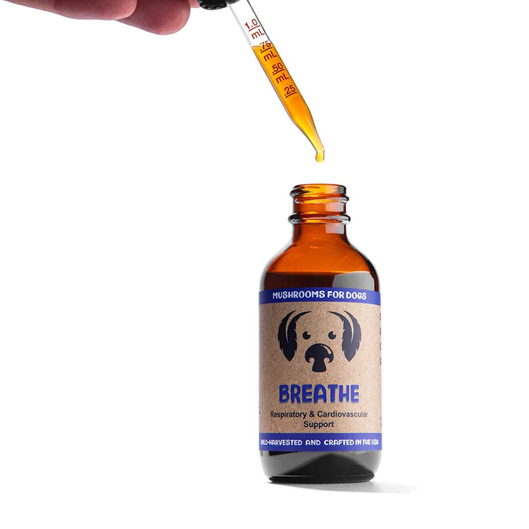 mycodog Breathe