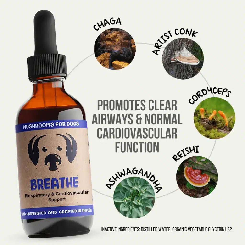 mycodog Breathe