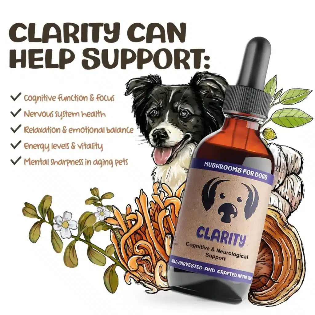 mycodog Clarity