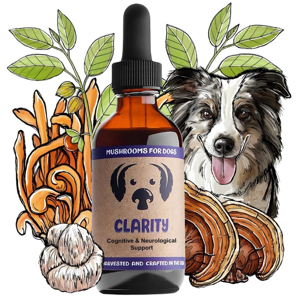 mycodog Clarity