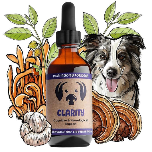 mycodog Clarity