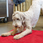 Monster Bully Wrapped Collagen Stick
