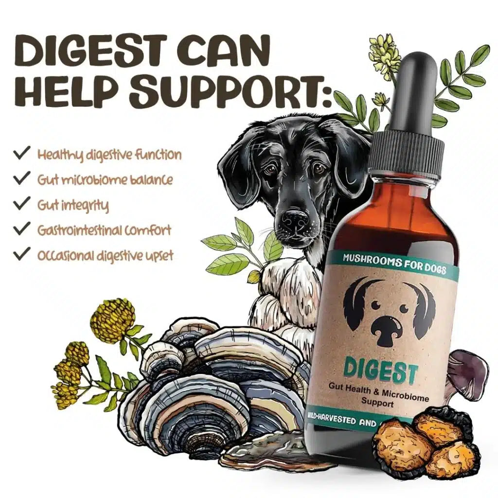 mycodog Digest
