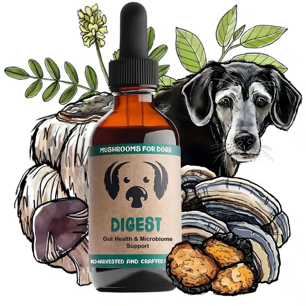 mycodog Digest