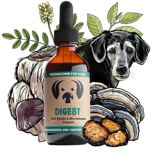 mycodog Digest