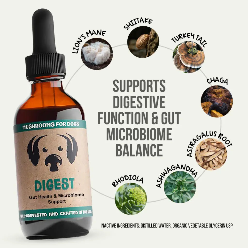 mycodog Digest