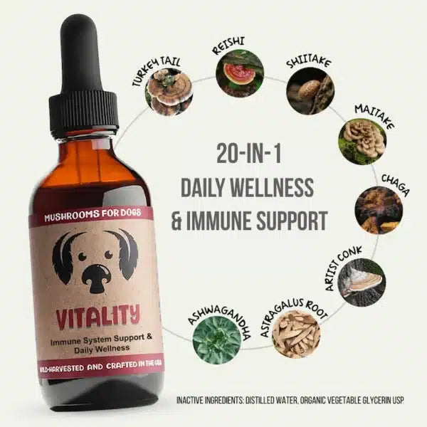 mycodog Vitality