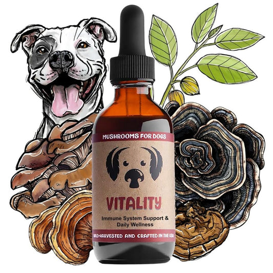 mycodog Vitality