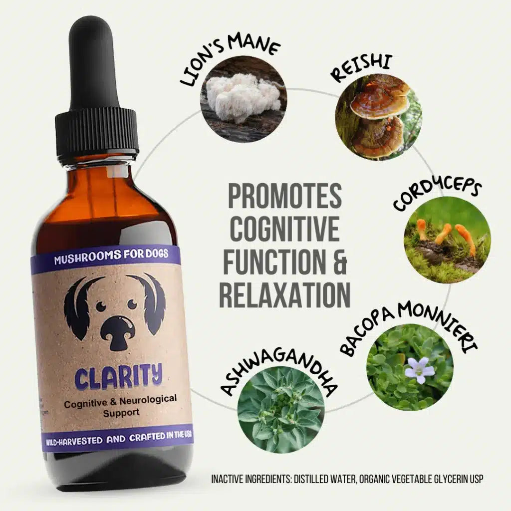 mycodog Clarity