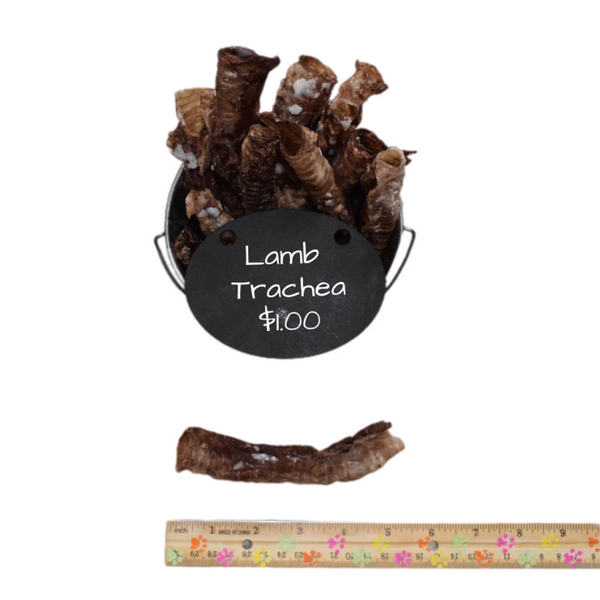 Lamb trachea for dogs safe best sale