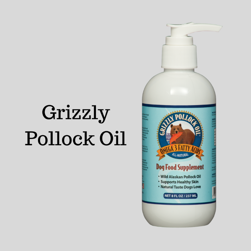 Grizzly Pollock Oil Image